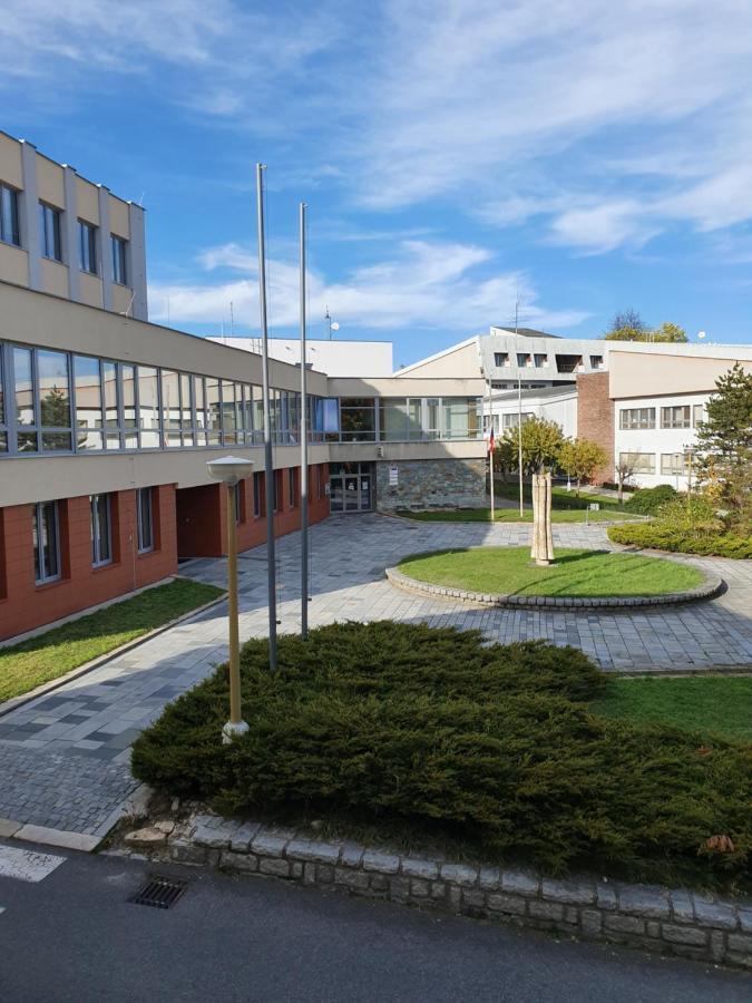 Apartmany U Lva Prachatice Extérieur photo
